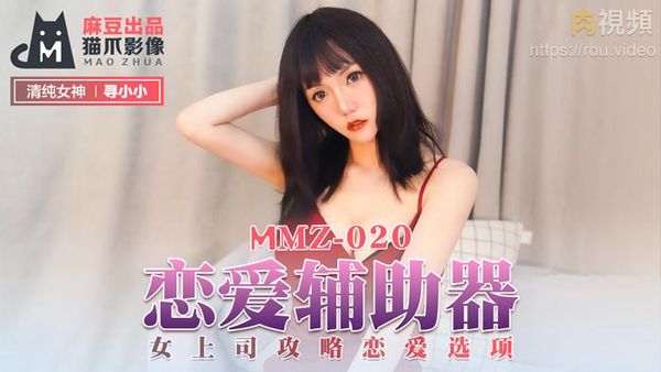 恋爱辅助器 寻小小