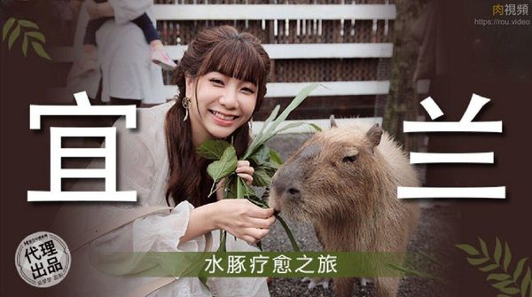 宜兰水豚疗愈之旅 吴梦梦